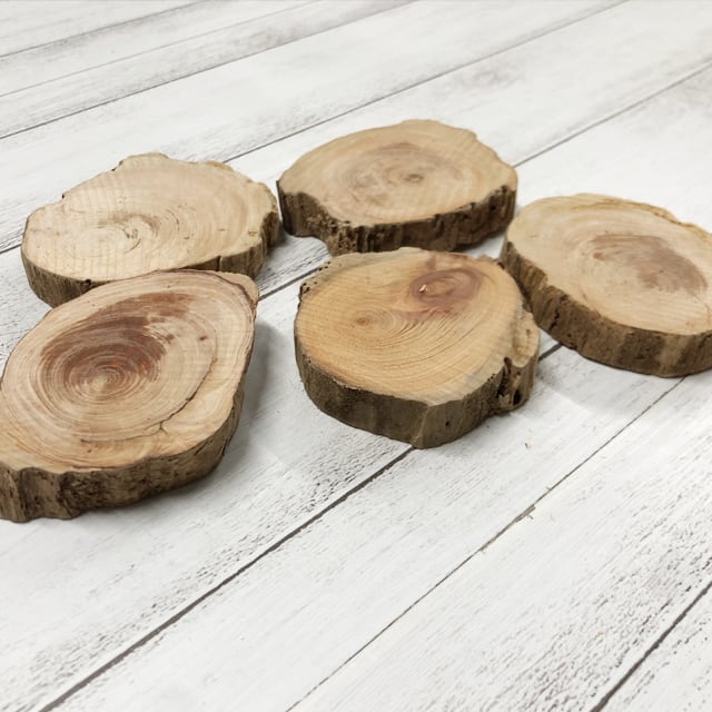 【新品未使用】屋久杉　天然木　おぼん　トレー　コースター　5個　希少 最高峰泡杢入り】今月の1点もの | 悠久の銘木 屋久杉の上品な