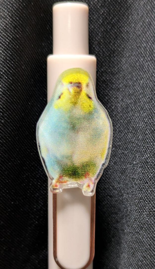 セキセイZOO