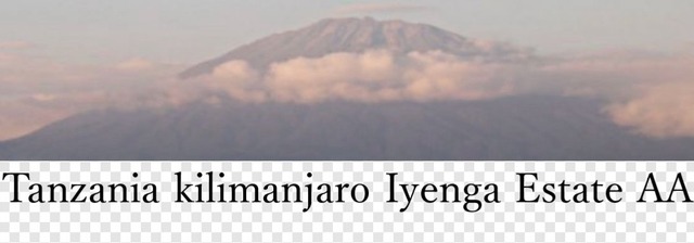 タンザニア AA トップ イエンガ -Speciality- 150g