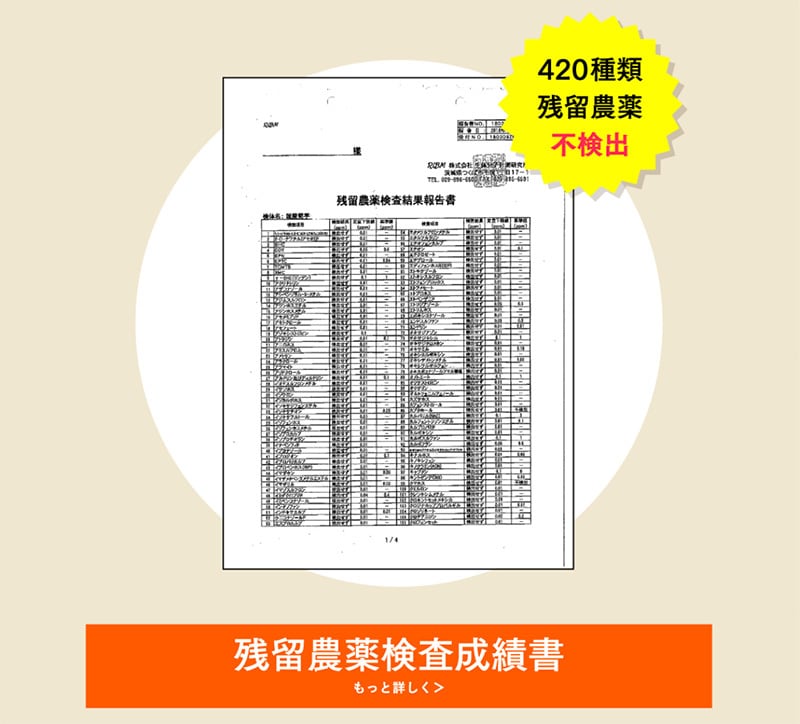 菊芋の極み茶〈家計応援価格〉3袋セット(2ヶ月分)