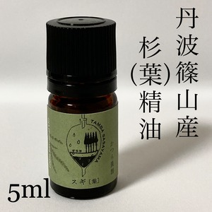 国産杉　葉　精油　5ml