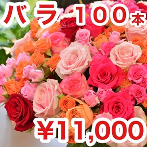 驚きの‼️バラ100本アソートセット 〜バラを愛した100％の愛〜　【色・品種・日付指定不可】