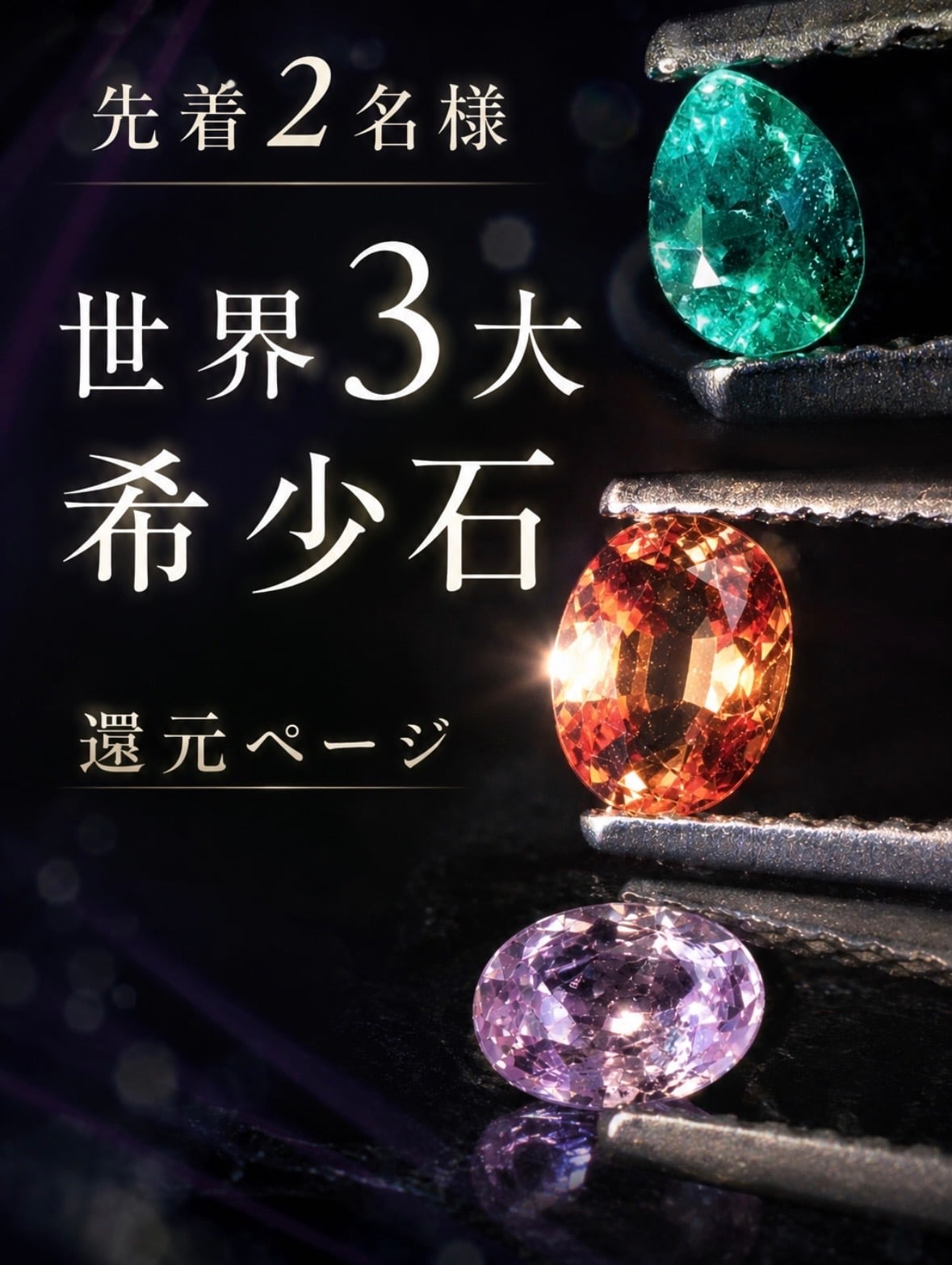 宝石の四季 No.161 〜 No.169・10セット 先着2名様】世界3大希少石、還元ページ [DK-1305] | 宝石屋 | DIGNITY
