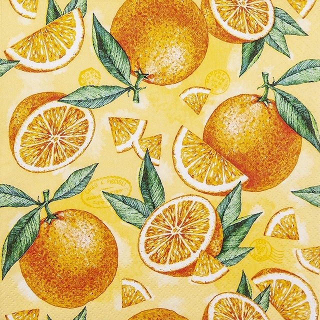 2023春夏【Home Fashion】バラ売り2枚 ランチサイズ ペーパーナプキン Pieces of Orange オレンジ