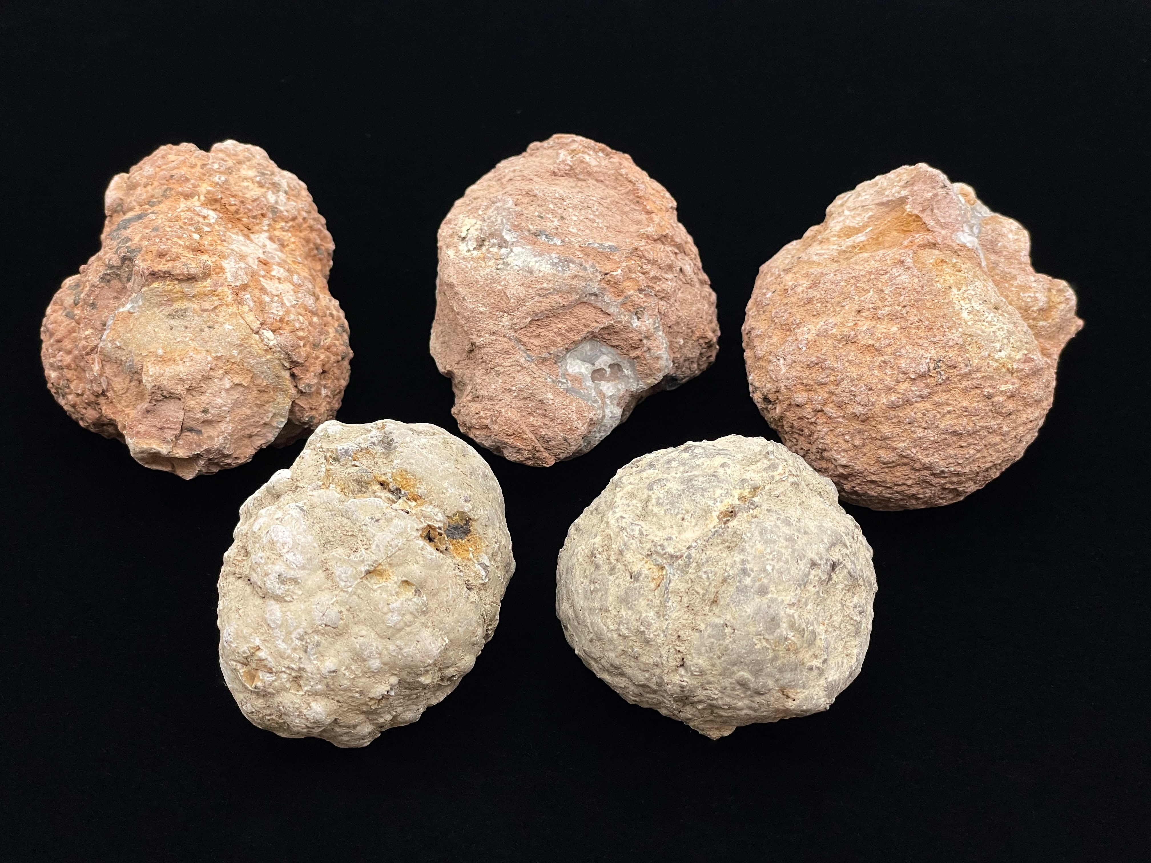 オープンジオード（ブルーレースアゲート） | DantaliaN