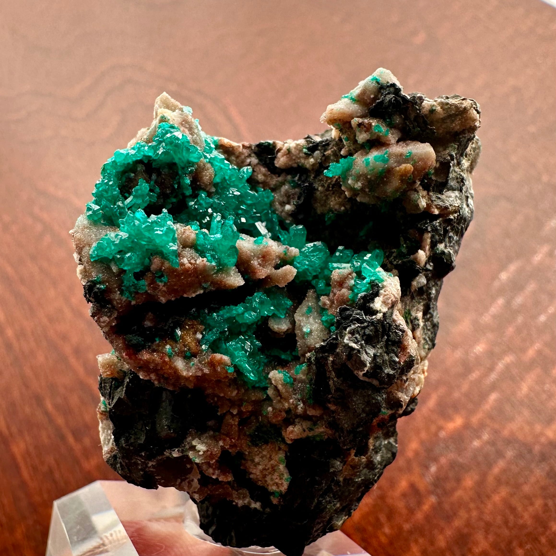 クォーツ / ダイオプテーズ【Quartz on Dioptase】コンゴ共和国産