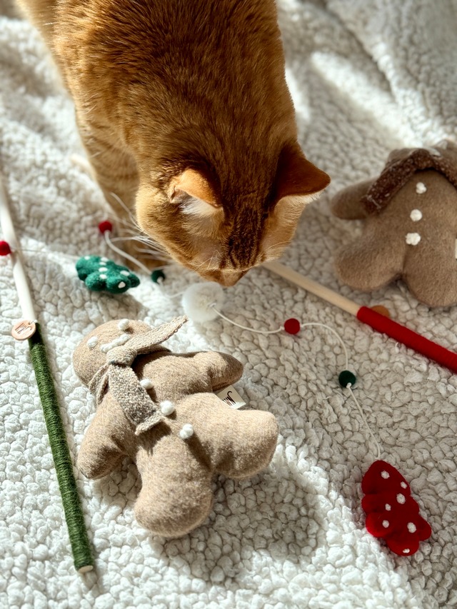 gingerman from WETNOSE 猫おもちゃ キャットニップ