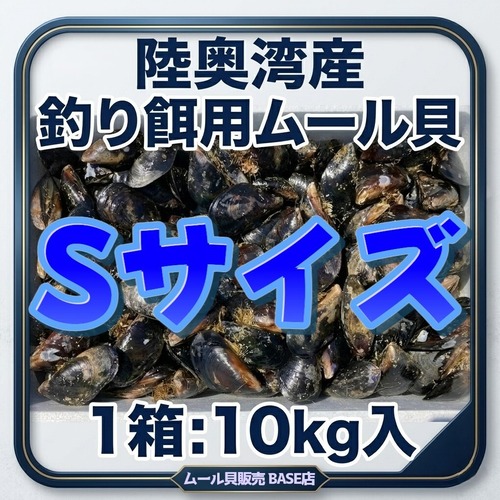 ■1箱：10kg入り【釣り餌用 ムール貝】Sサイズ商品