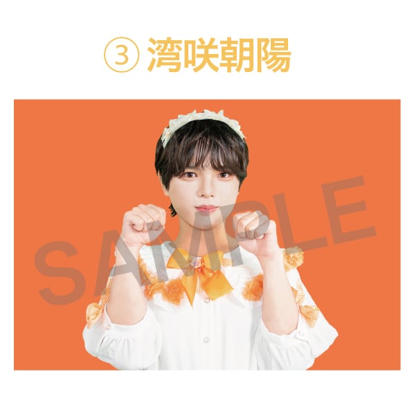 PHOTO】ブロマイド(新体制ver)＜全9種＞・L版 | ふらあわ Official