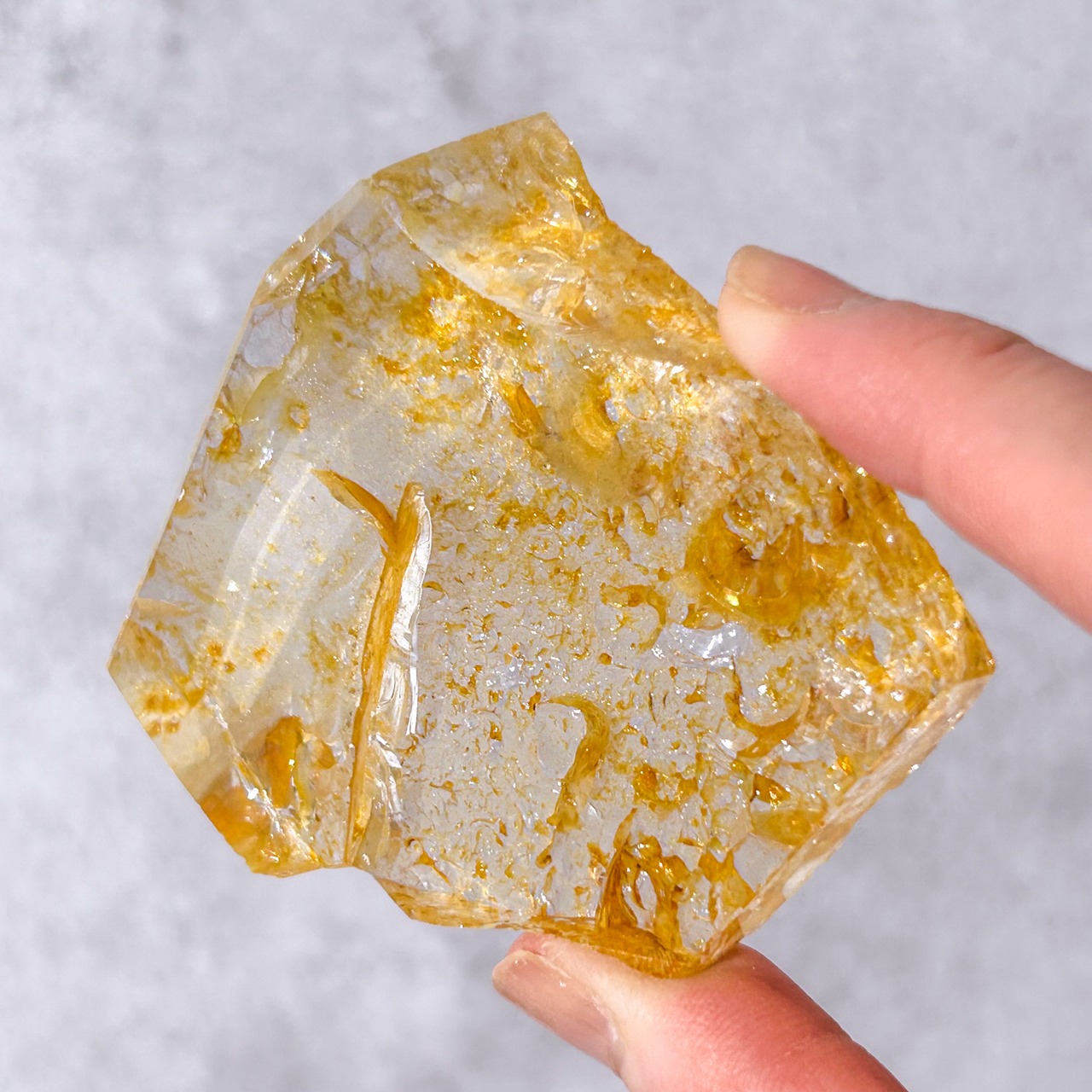 ゴールデンヒーラー スライス