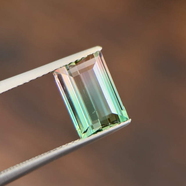 バイカラートルマリン 10.0x6.9mm, 2.61ct, ブラジル産