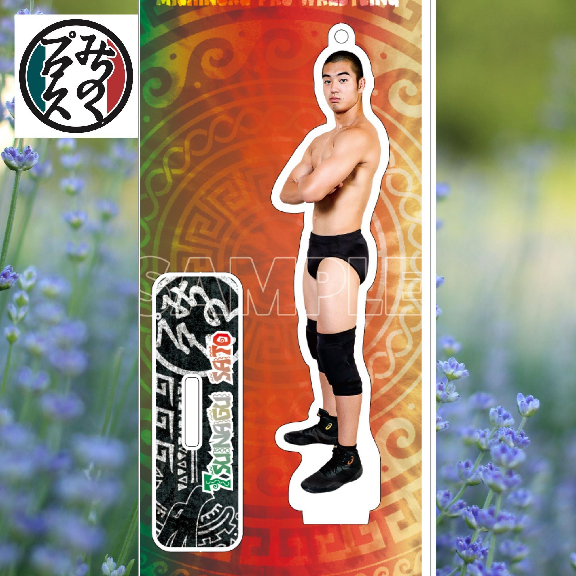 全日本プロレス NWA ワールドチャンピオンシリーズ パンフレット 全日本プロレスリング '79 NWAチャンピオン・シリーズ パンフ 1979年