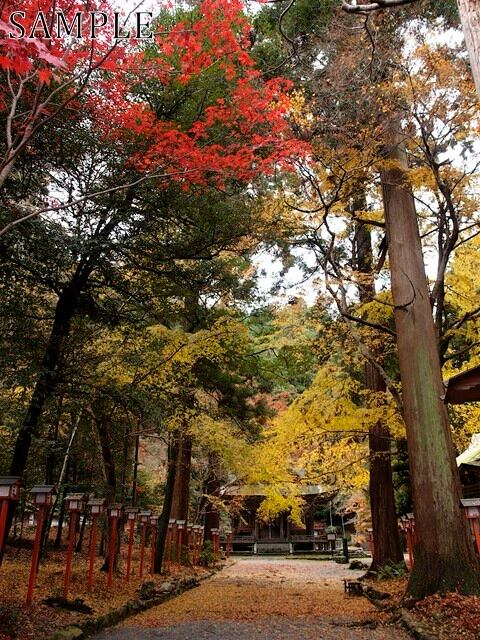 日吉神社  JPEG (3)