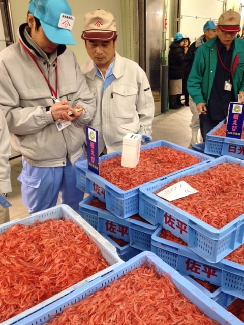 駿河湾産生桜えび 200g