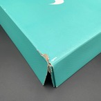×TIFFANY & CO. AIR FORCE 1 LOW 1837 DZ1382-001