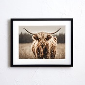 Highland cow|北欧ナチュラルに合うハイランドカウのアニマルアートポスター|ふわふわ毛並みが可愛い癒しの一枚|A4ポスター