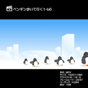ペンギン歩いて行く1-b6