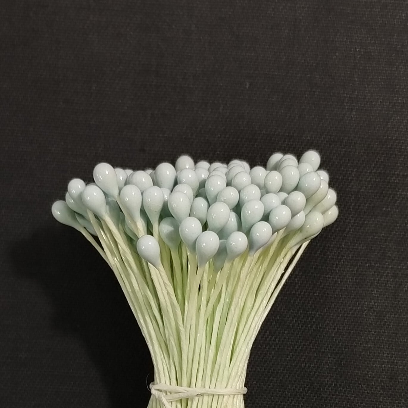 フラワーペップ ツヤ 1号 水色 2グロス×5束 ペップ | nishidahat