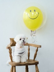 BUBBLE BALLOON sizeL ピンク