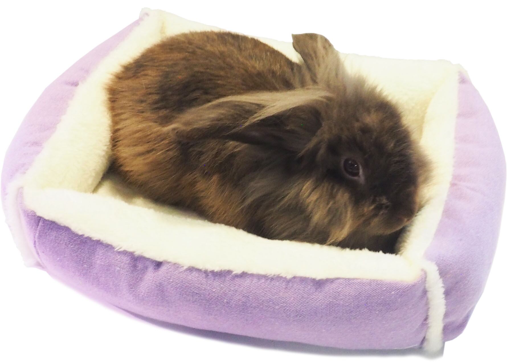 【小動物】 うさちゃんのワイドベッド グリーン/パープル