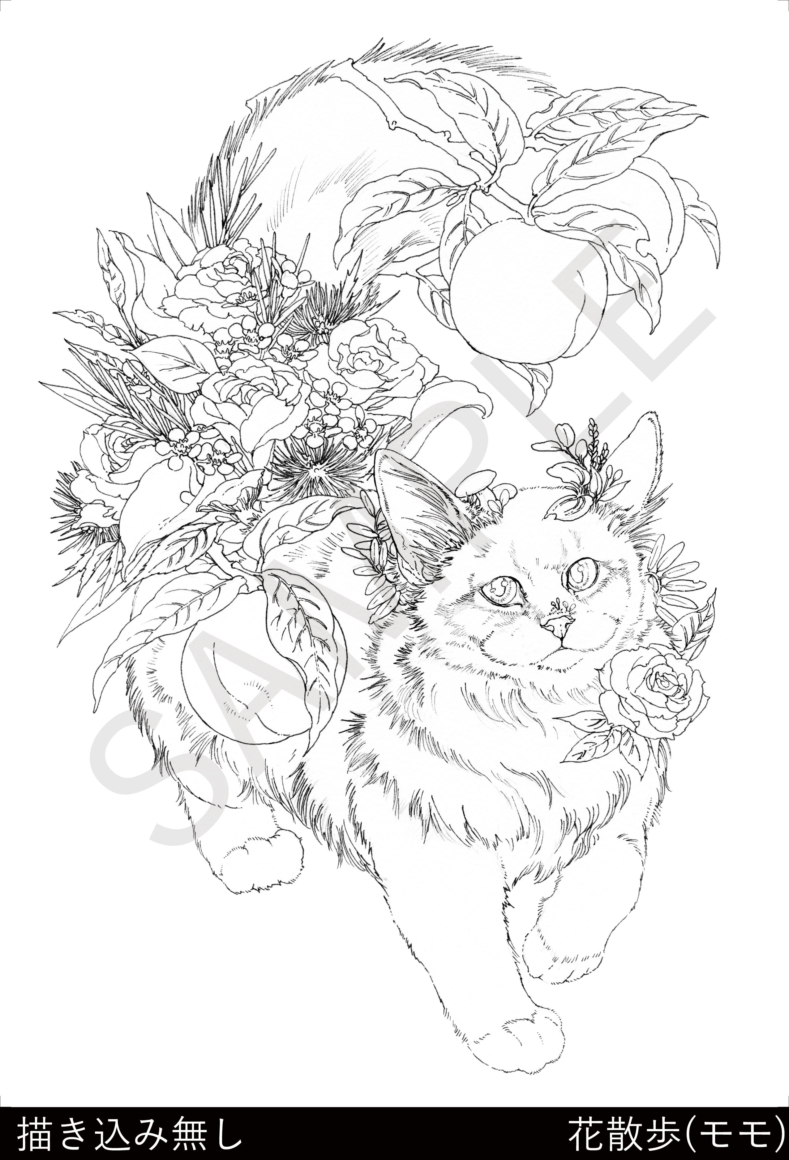 塗絵セット | KEN MATSUDA ONLINE STORE