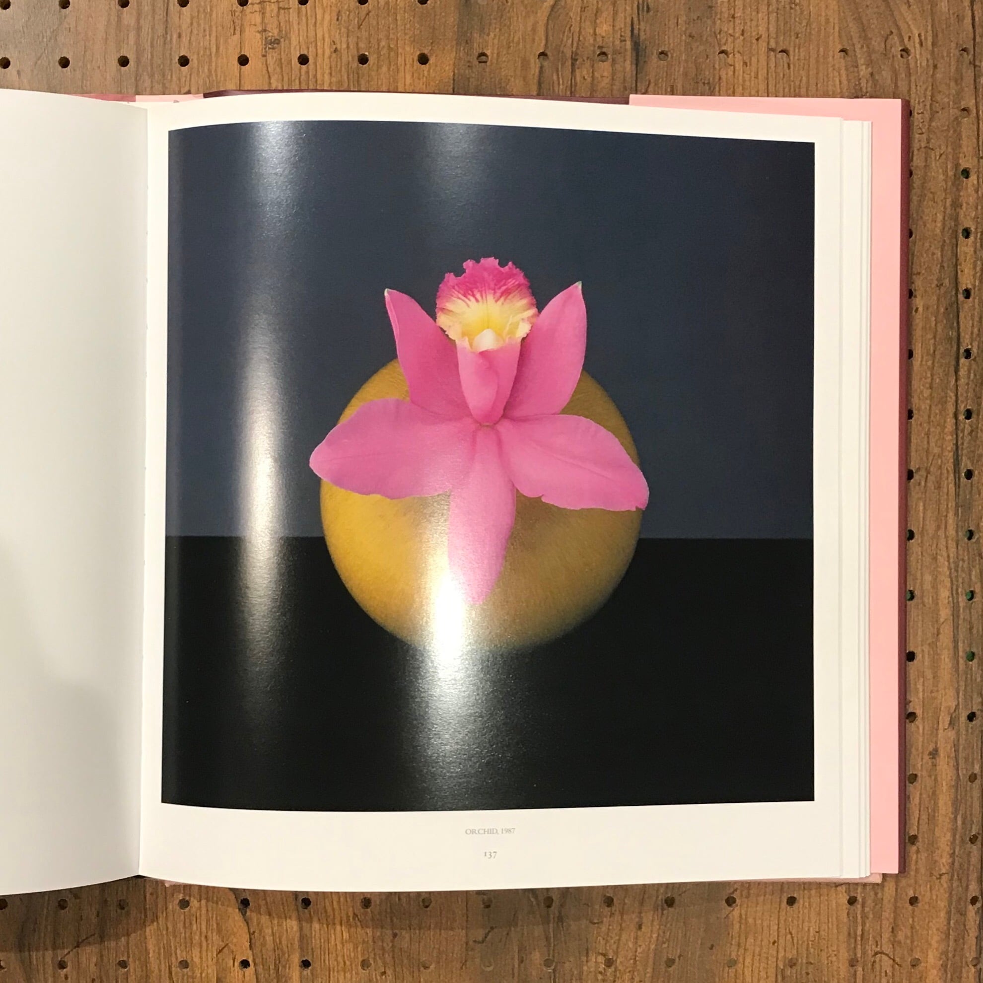 驚きの安さ Pistils Robert Mapplethorpe ロバートメイプルソープ アート エンタメ Hlt No