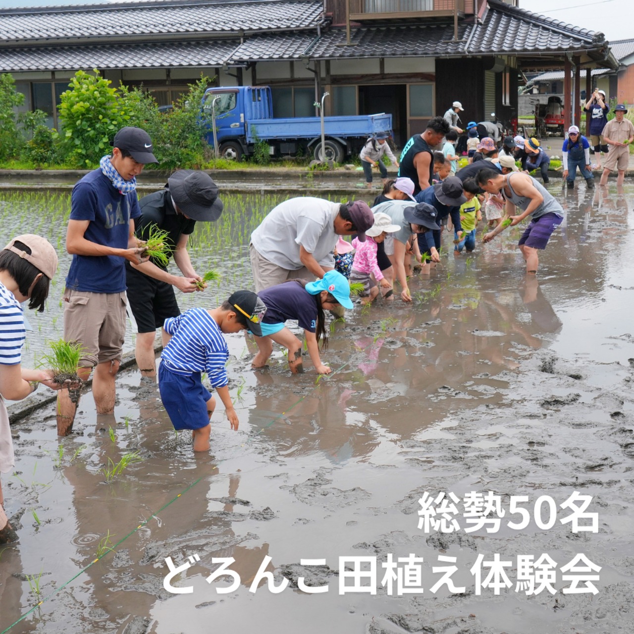 【定期便】玄米15kg｜徳地きぬむすめ｜農家直送 山口県｜ 送料無料（北海道、沖縄を除く）