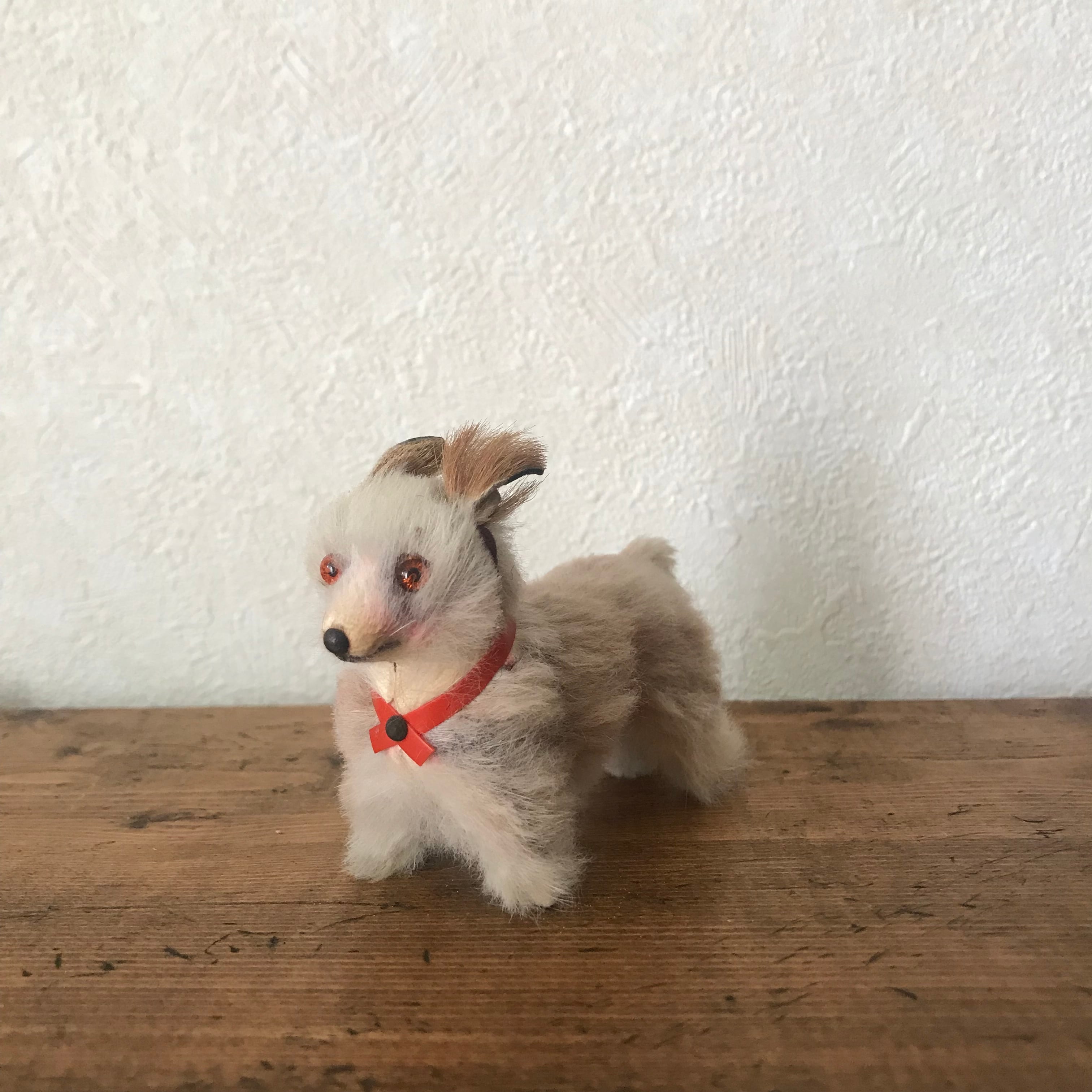 ファーのわんこ