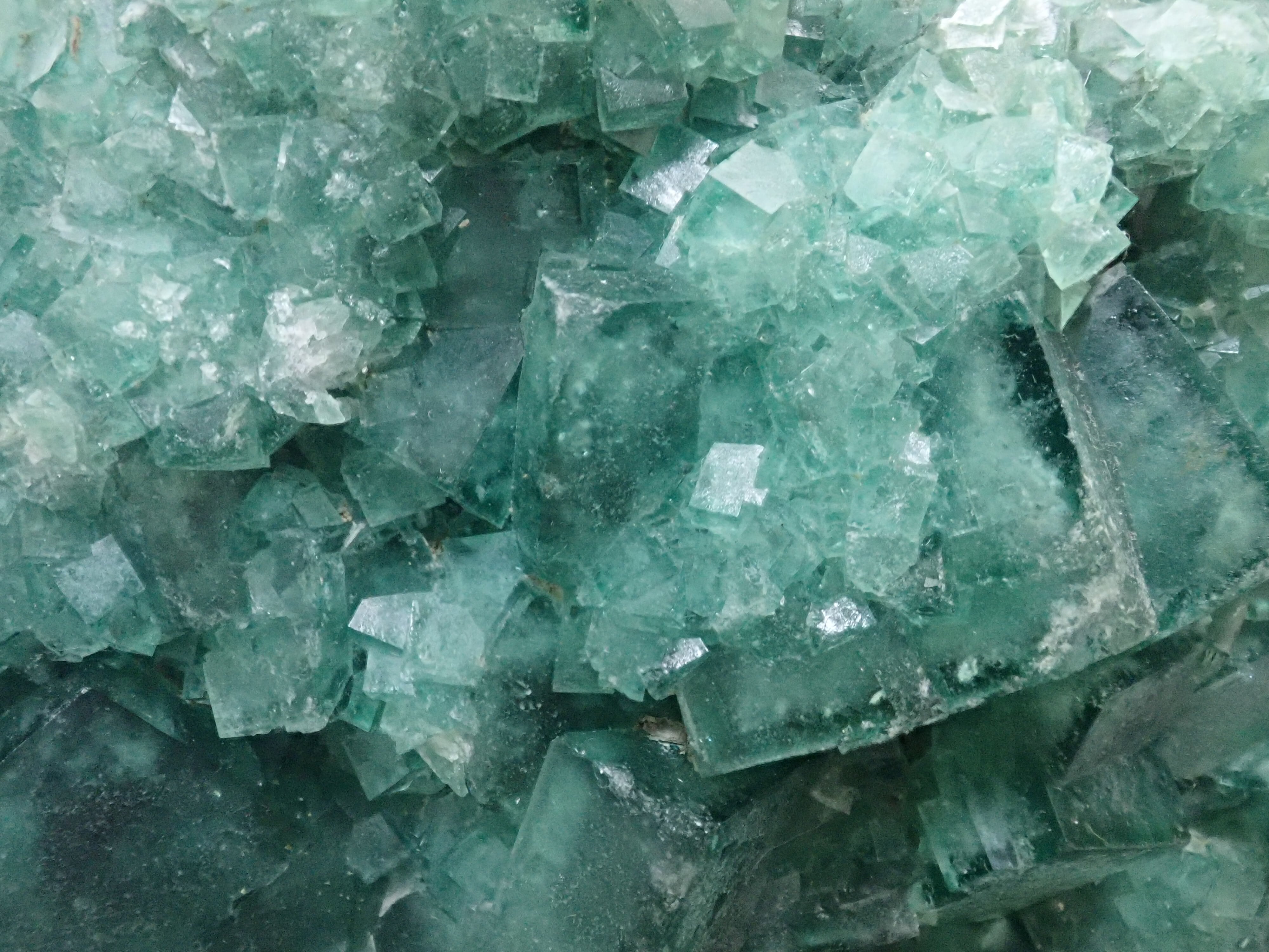 ミネルヴァNo.1 フローライト キャルコパイライト 標本 結晶 蛍石