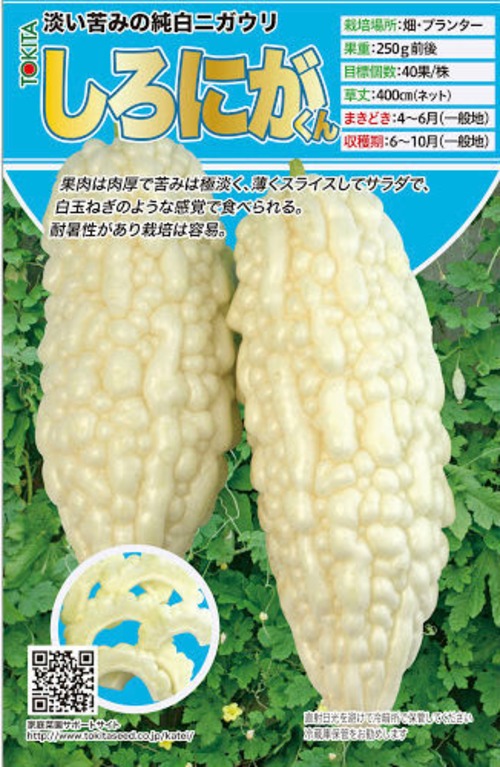 ニガウリ「しろにがくん」（小袋） 画像