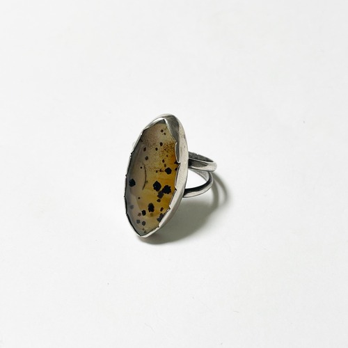 Vintage Southwestern Sterling Montana Moss Agate Ring