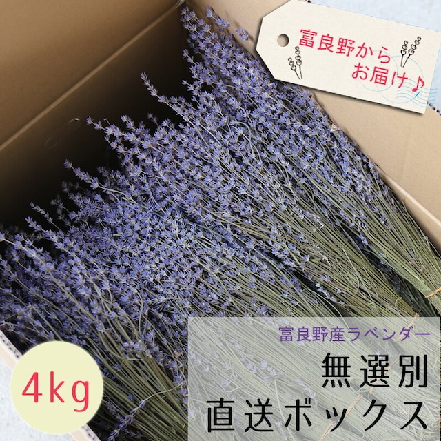 【送料無料】【産地直送・業務用】富良野産ラベンダー4号 おかむらさき ドライフラワー 4kg 【無選別お得な箱売り】