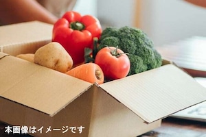 ★店頭受取限定★旬の野菜・果物おためしセット