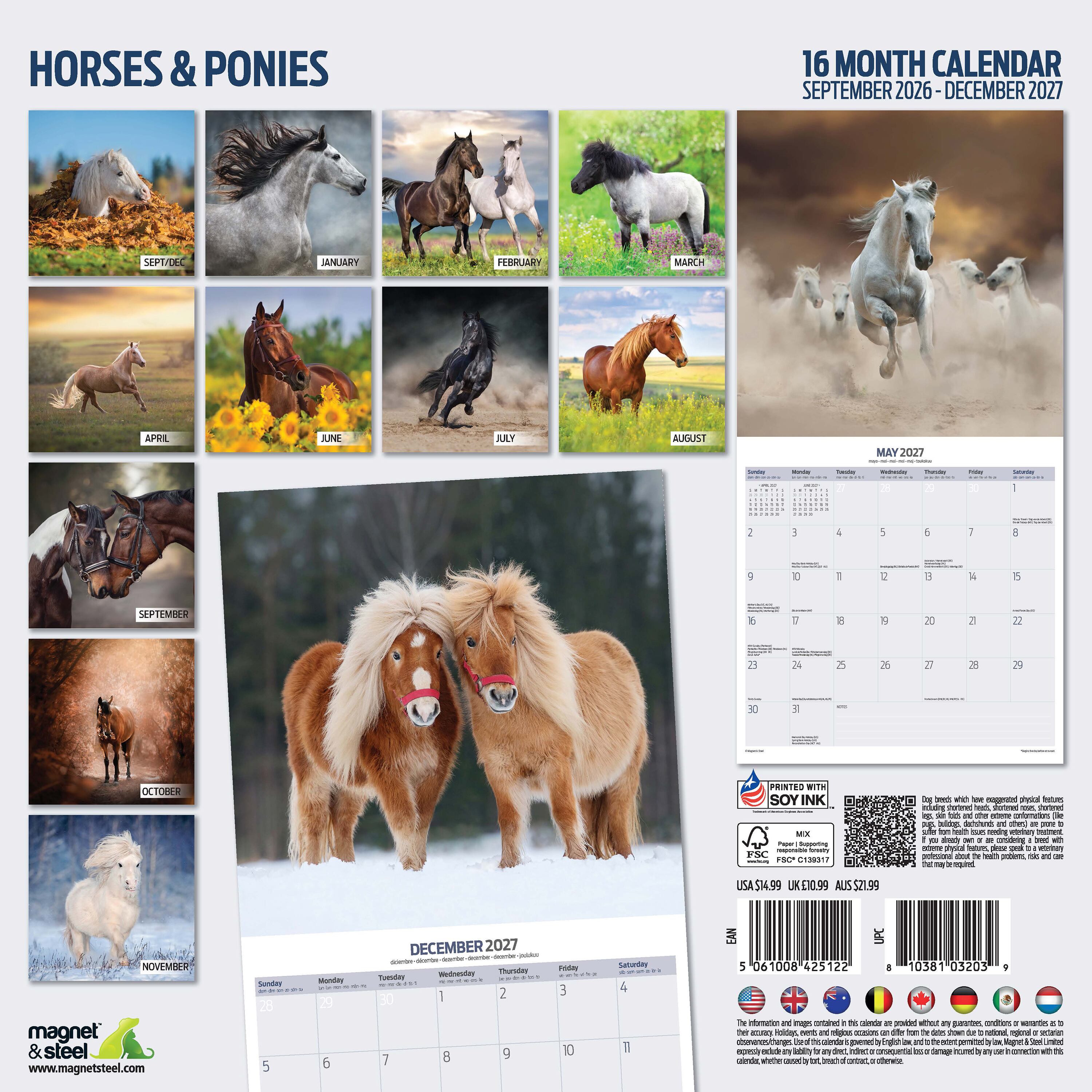 【2027年版】英国製カレンダー【Horses and Ponies】 2027年版