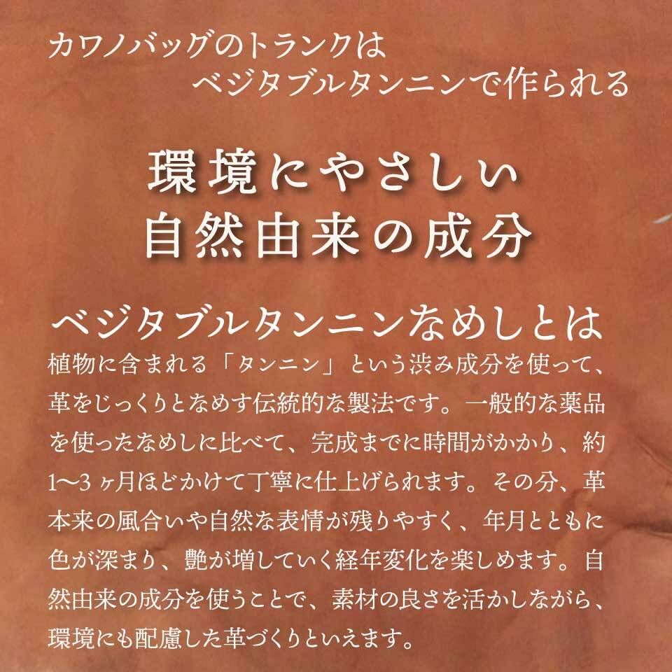 新仕様【幅40cm】カワノ ヌメ革 トランクケース リュックサック型 本革