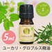 ユーカリ・グロブルス精油【5ml】エッセンシャルオイル/アロマオイル