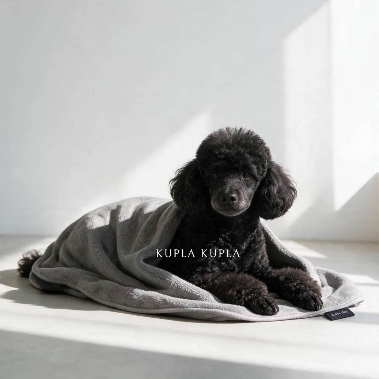 kaPa kaPa | クプラクプラ グルーミータオル 5枚セット