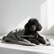 kaPa kaPa | クプラクプラ グルーミータオル 5枚セット