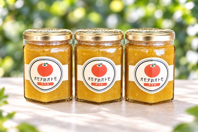 オモチのオトモ JAM　伊予柑3個セット (送料込)