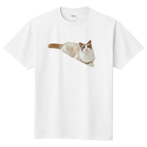 ラグドール猫の半袖Tシャツ〜シンプルデザイン〜 /  メンズ レディース