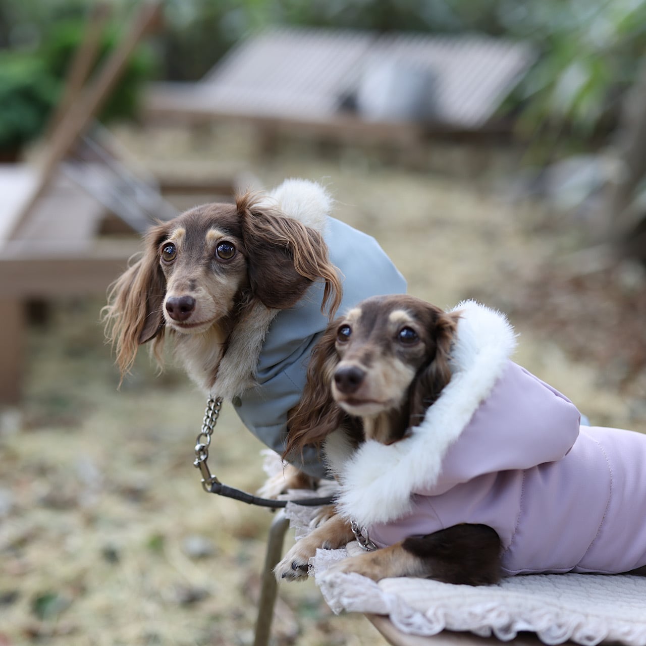 ダウンジャケット(ファー付きフード)※リバーシブル