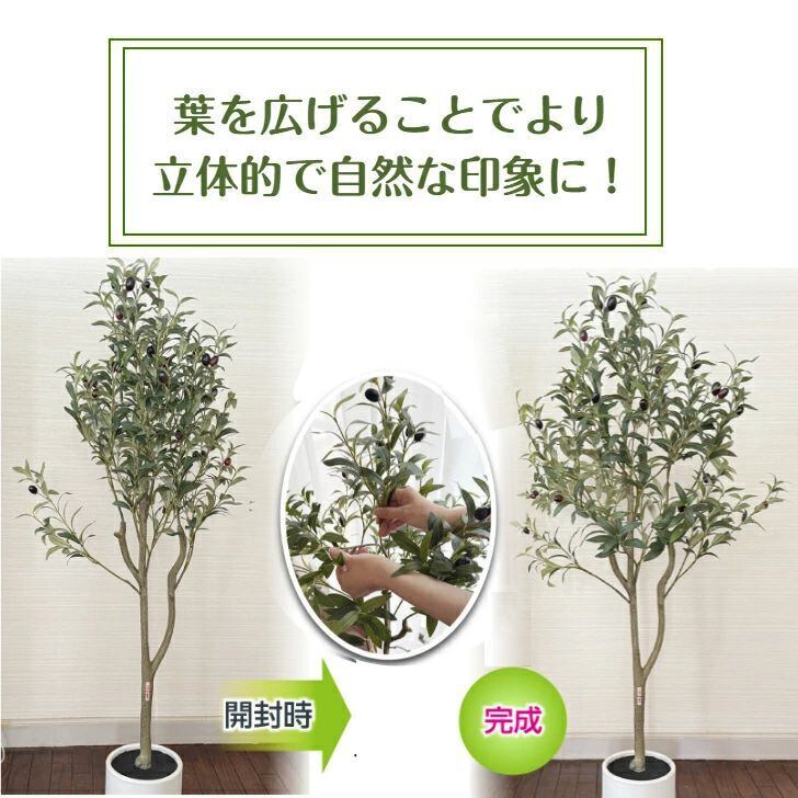 生花店監修】 フェイクグリーン オリーブ オリーブの木 リアル 人工