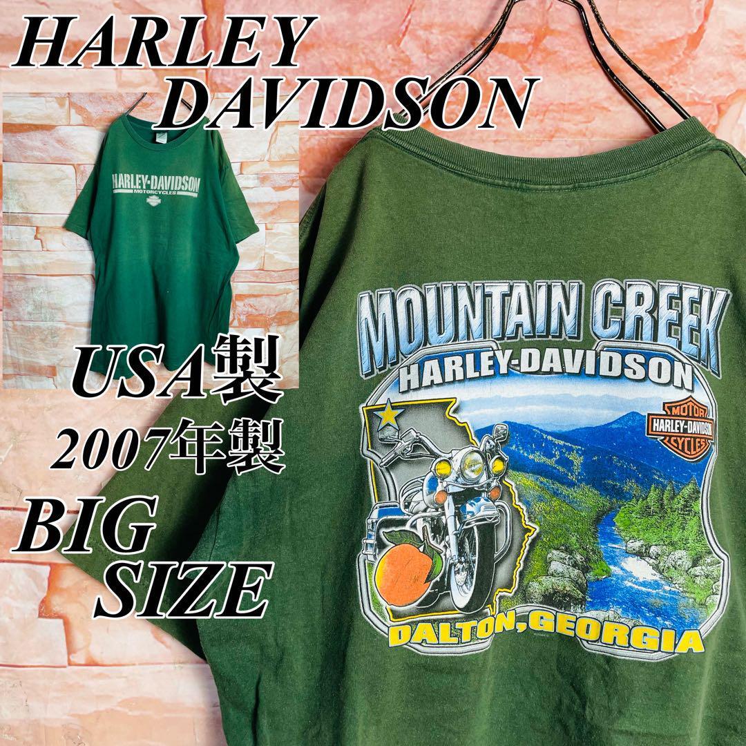 【極美品】チャンピオン　80sトリコタグ シカゴペアーズ　Tシャツ XL古着 極美品】チャンピオン80sトリコタグ シカゴペアーズTシャツ XL古着