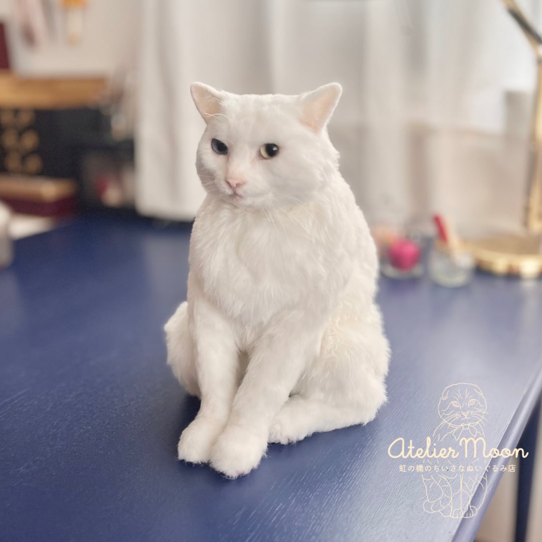 愛猫ちゃんのオーダーメイドぬいぐるみ Aプラン 【只今のお届け