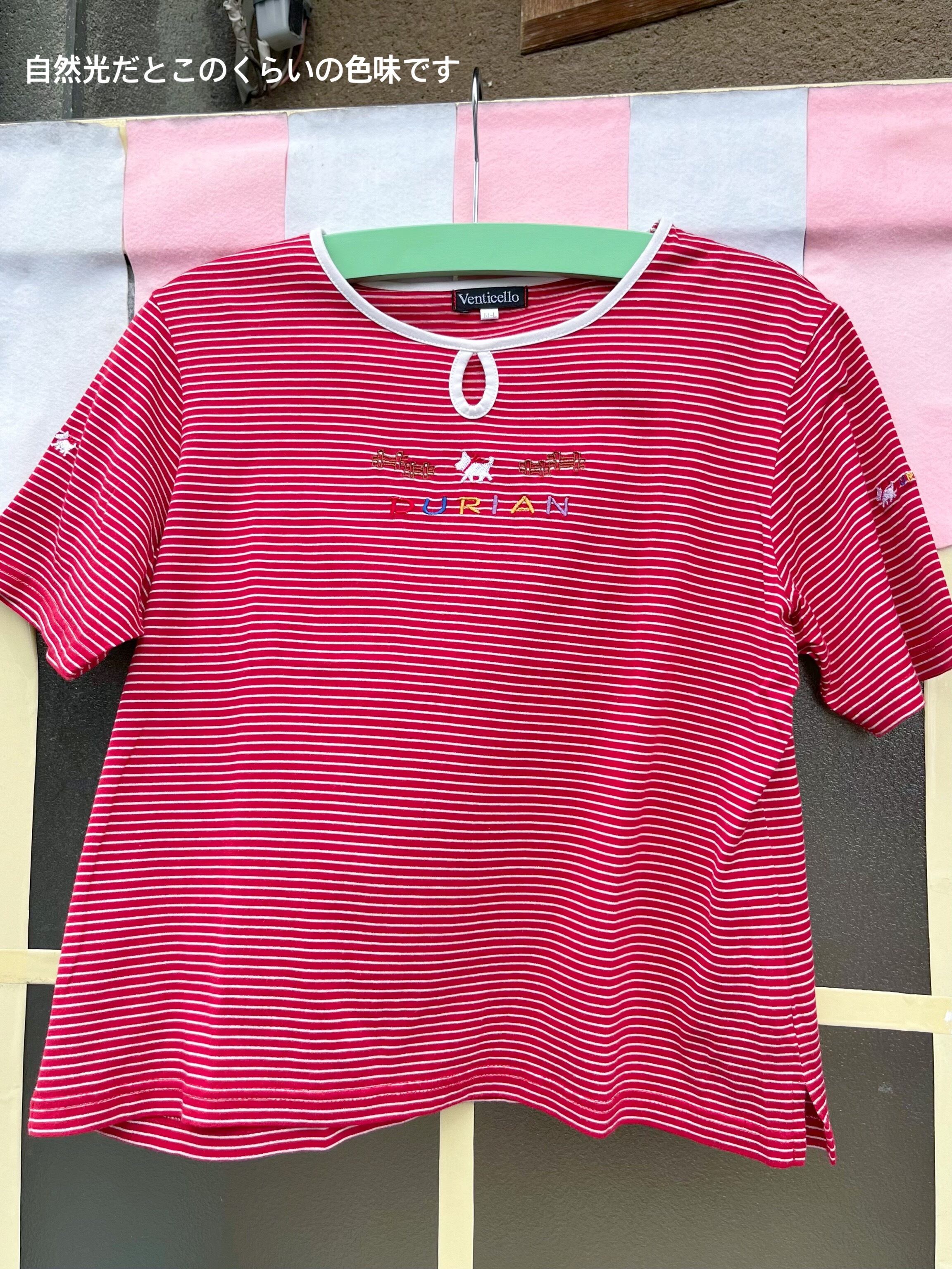 walking dog embroidery red T-shirt