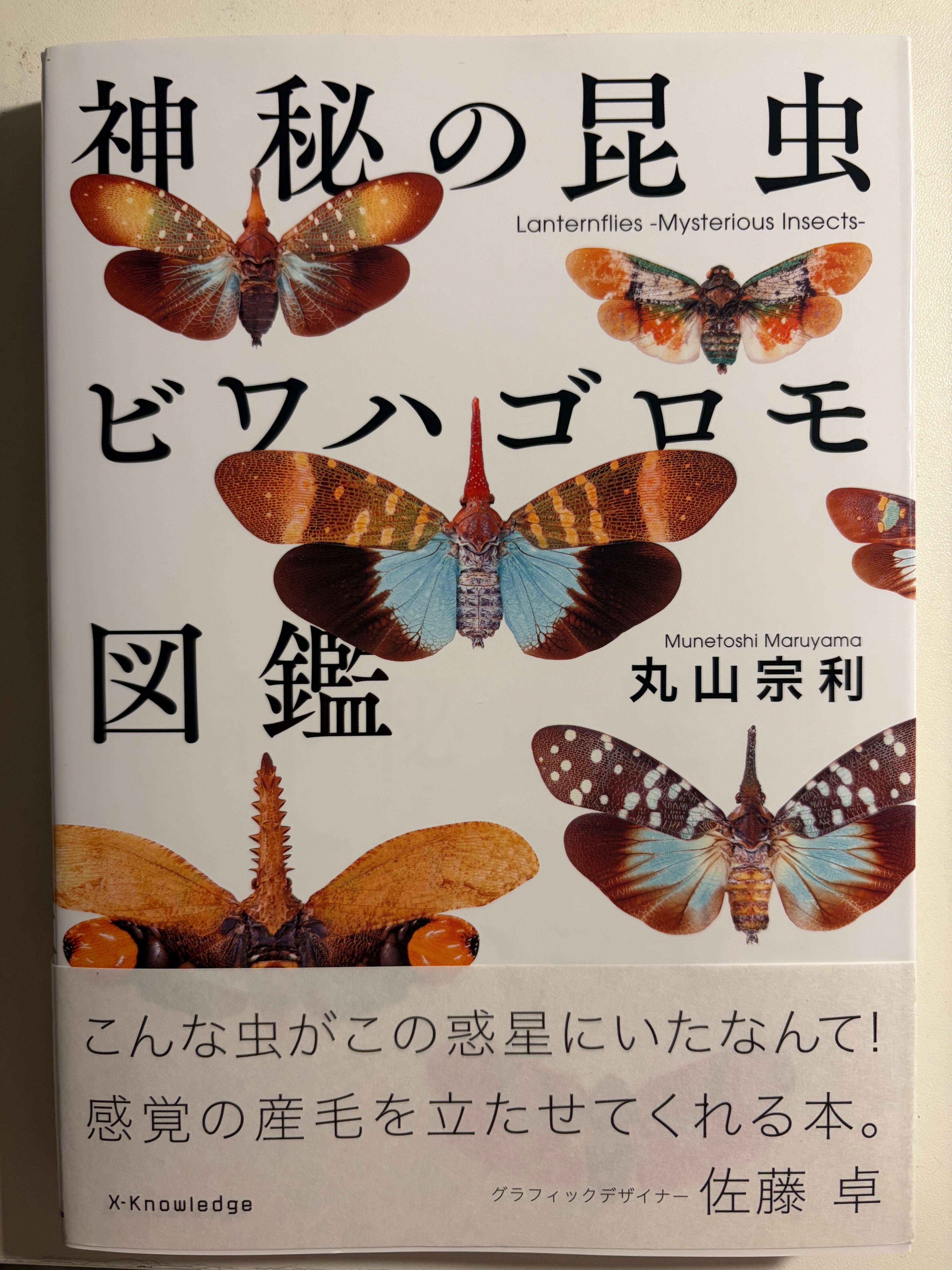 虫 | オモニキチュウ