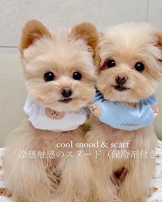 即納販売　 cool snood  ひんやり冷感スヌード　保冷剤2個付き　　 韓国犬服　