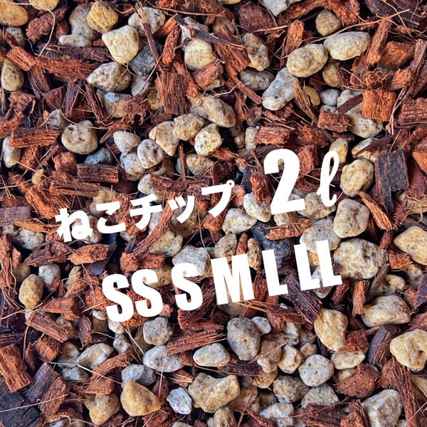 よねっち ヨシムラが軽量化による運動性向上をねらうNinja ZX-6R用スリップオン