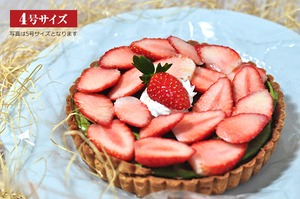 【ひと月便｜23年1月お届け】〈tarte4u〉4号サイズタルト/FT2301-04-01-00