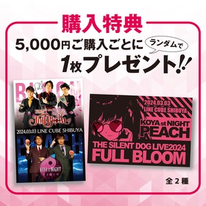 THE SILENT DOG LIVE2024-Full Bloom-× KOYA st NIGHT-Peach-スマホショルダーストラップ